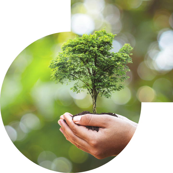 关怀人类、文化、环境与社会